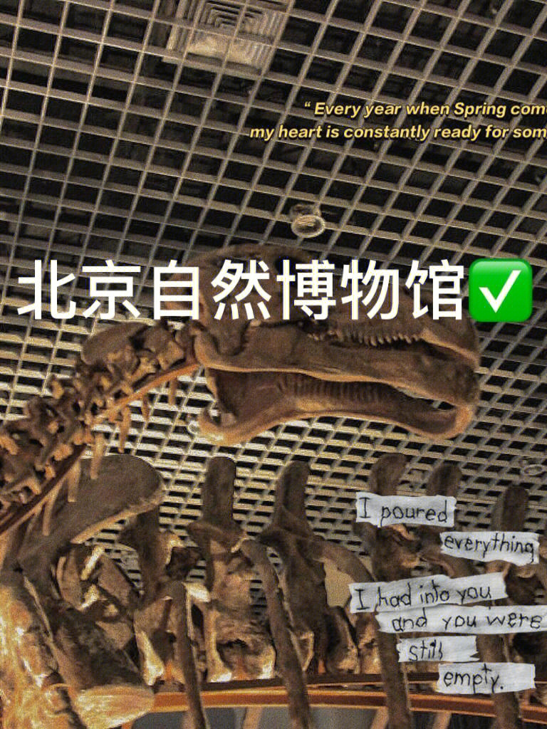 北京自然博物馆门票图片
