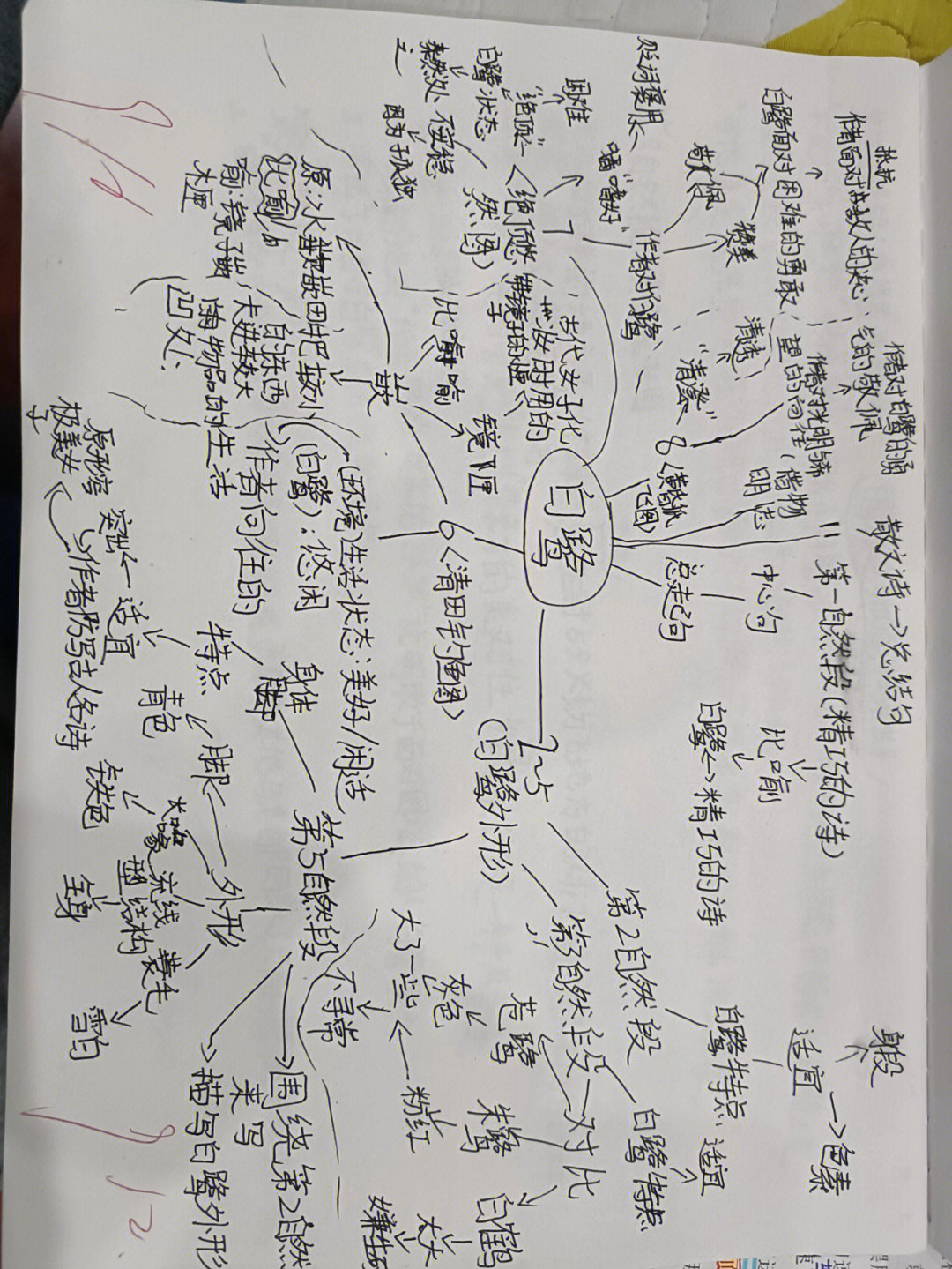 白鹭说明文思维导图图片