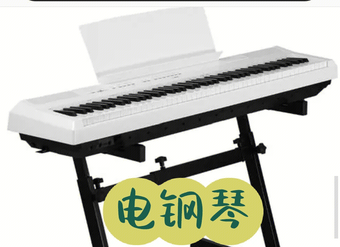 雅马哈电子钢琴专卖店_郑州雅马哈钢琴专卖_雅马哈电子钢琴价格