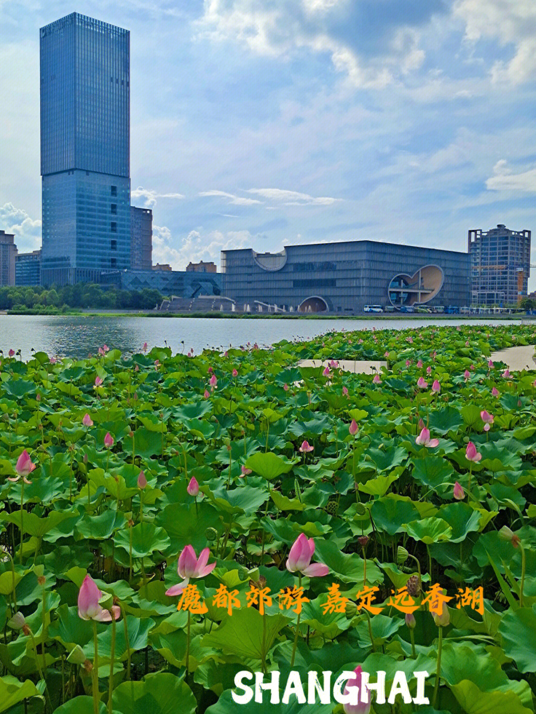 远香湖保利大剧院图片