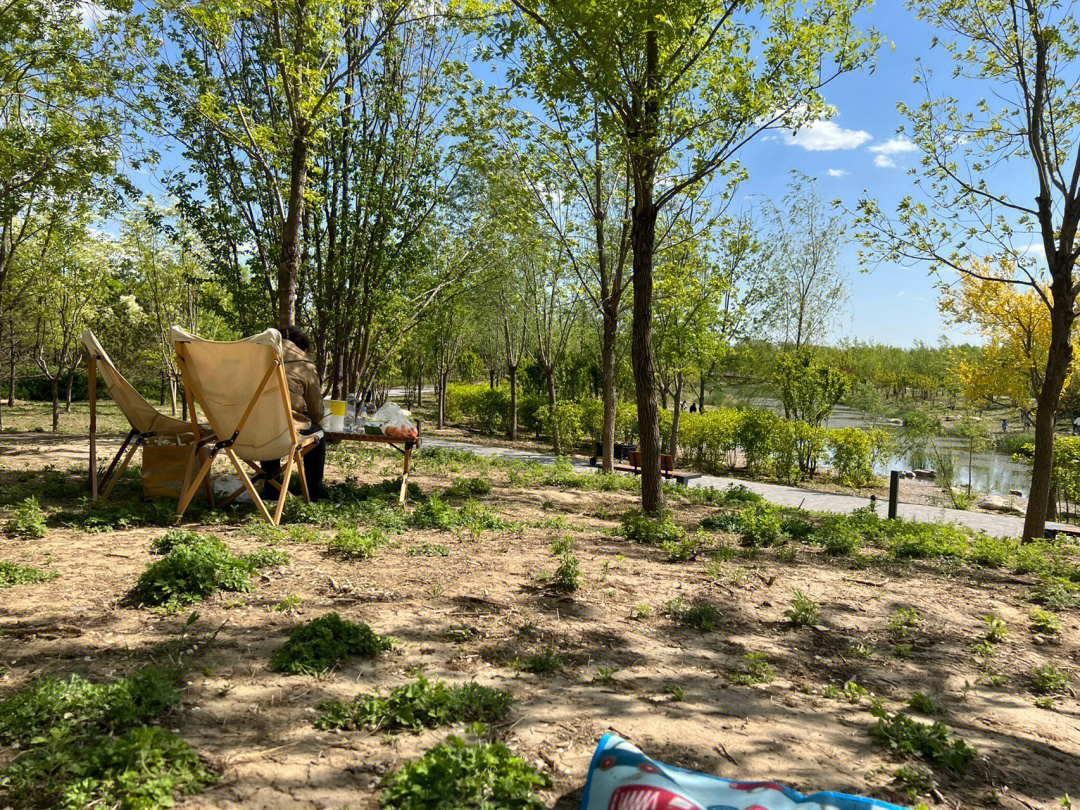 温榆河公园搭帐篷攻略图片