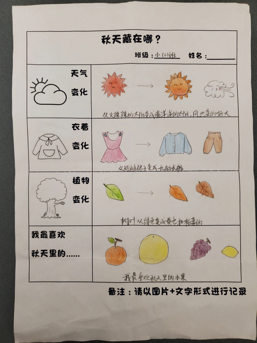 幼儿园作业寻找秋天调查表秋天藏在哪