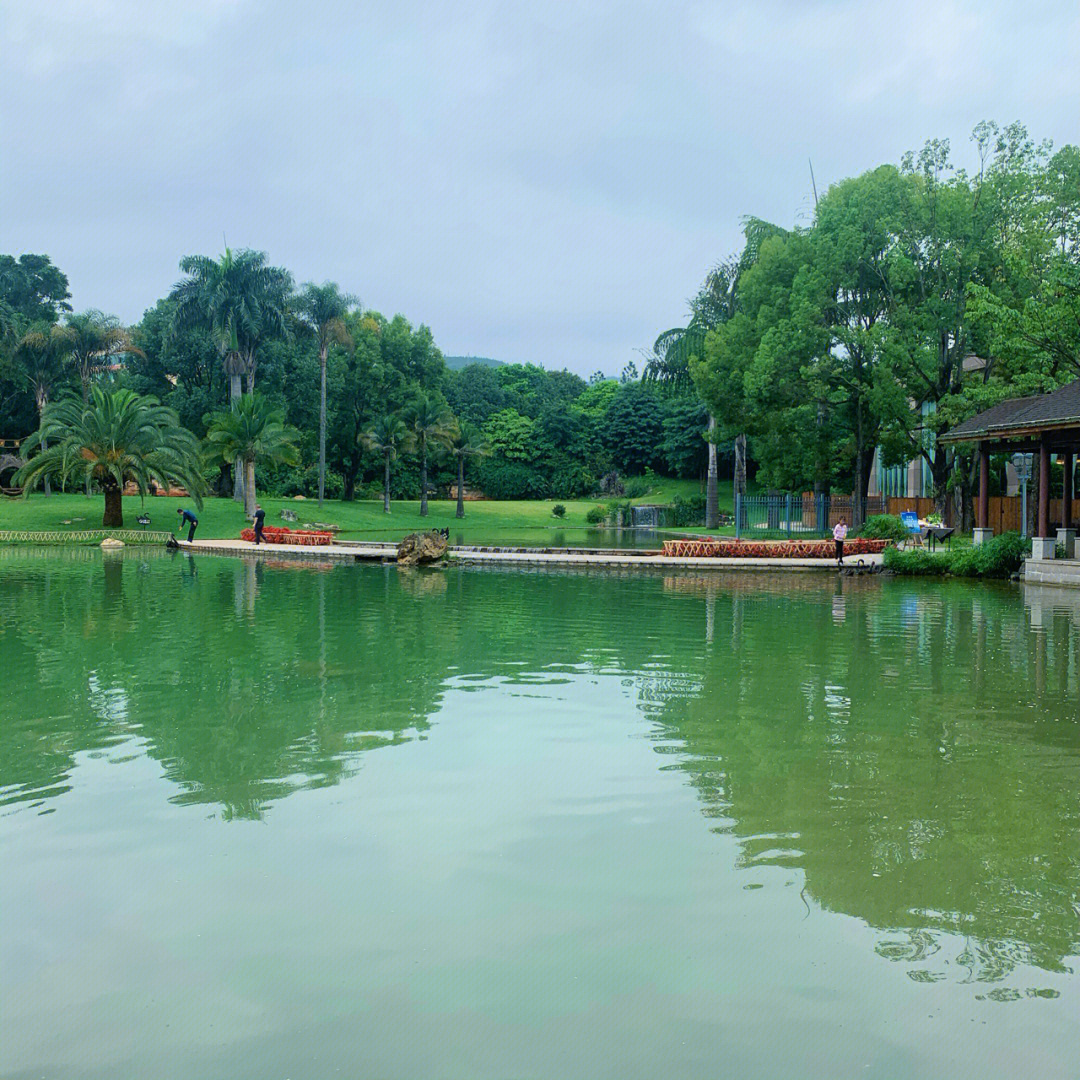 湖泉酒店早餐时间图片