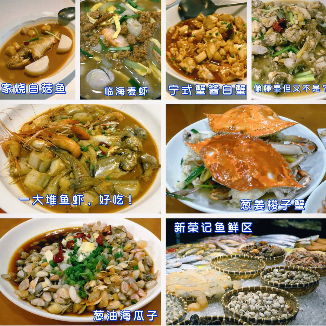 关于台州的美食和播客推荐