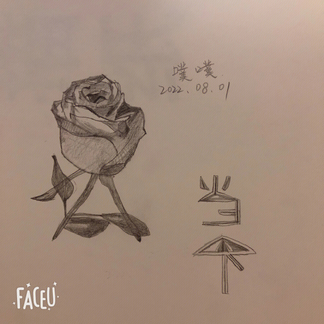 素描静物玫瑰花