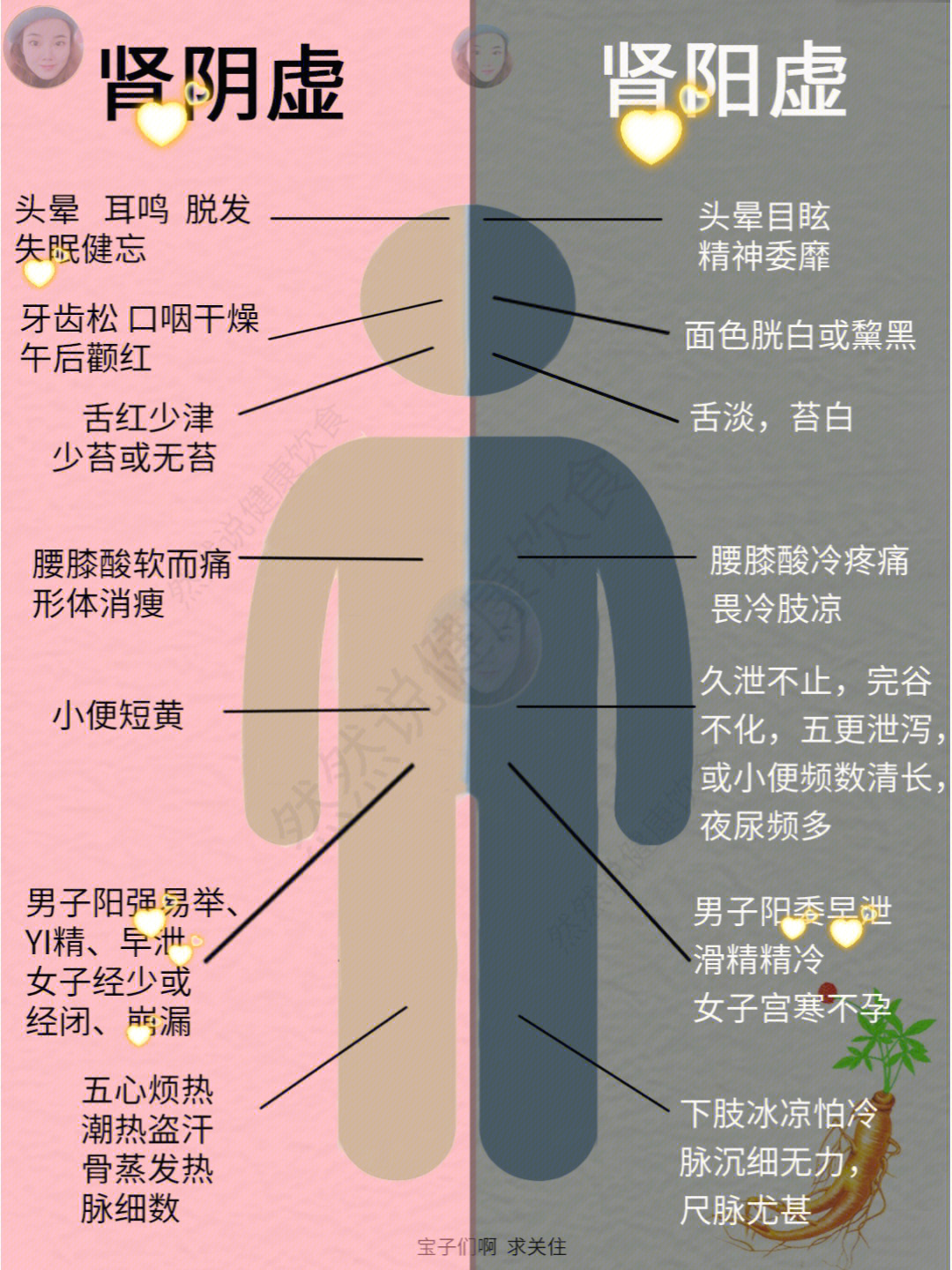 肾阴虚和肾阳虚的区别分别该吃什么