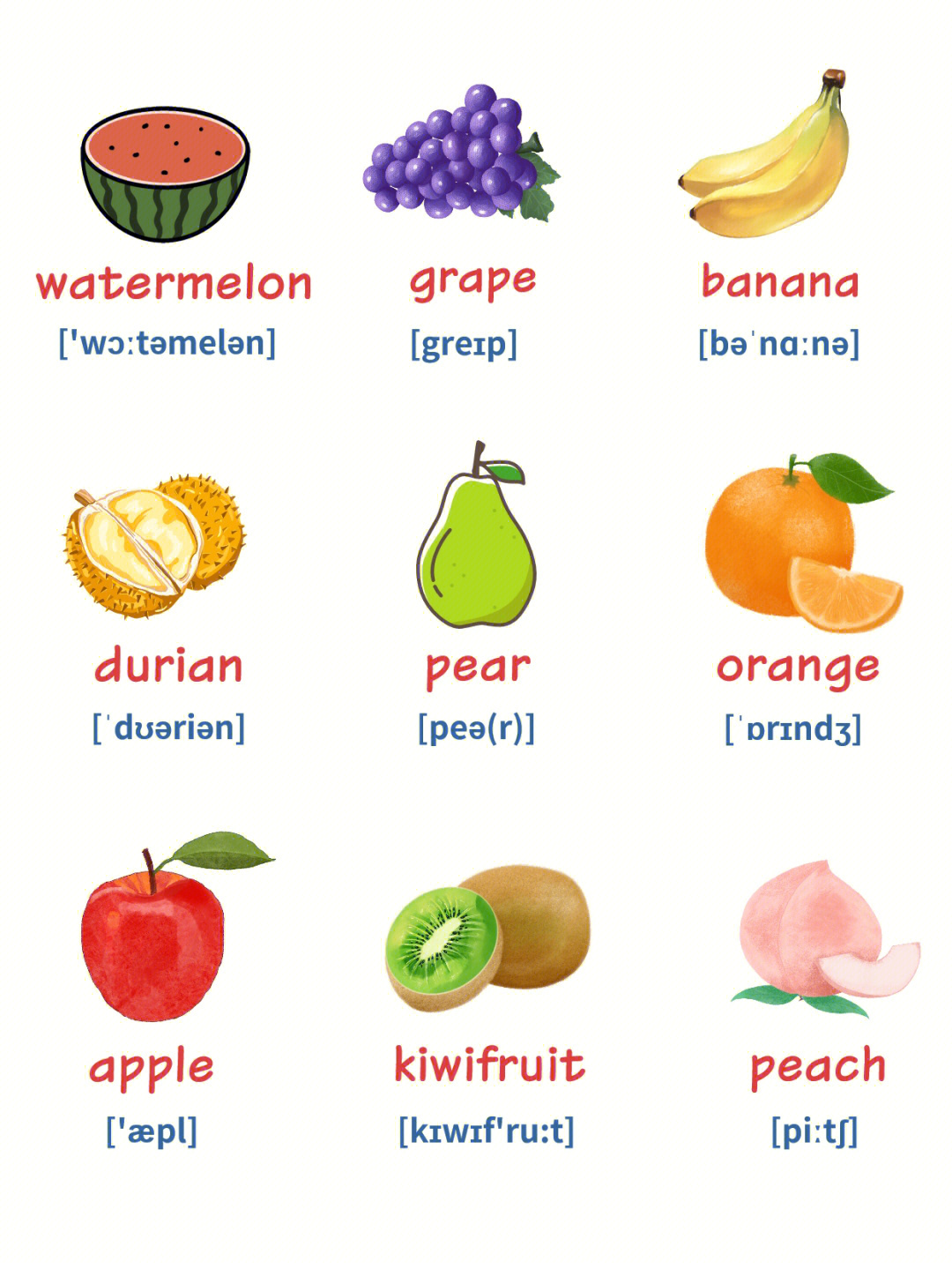 水果英语单词大全100个图片
