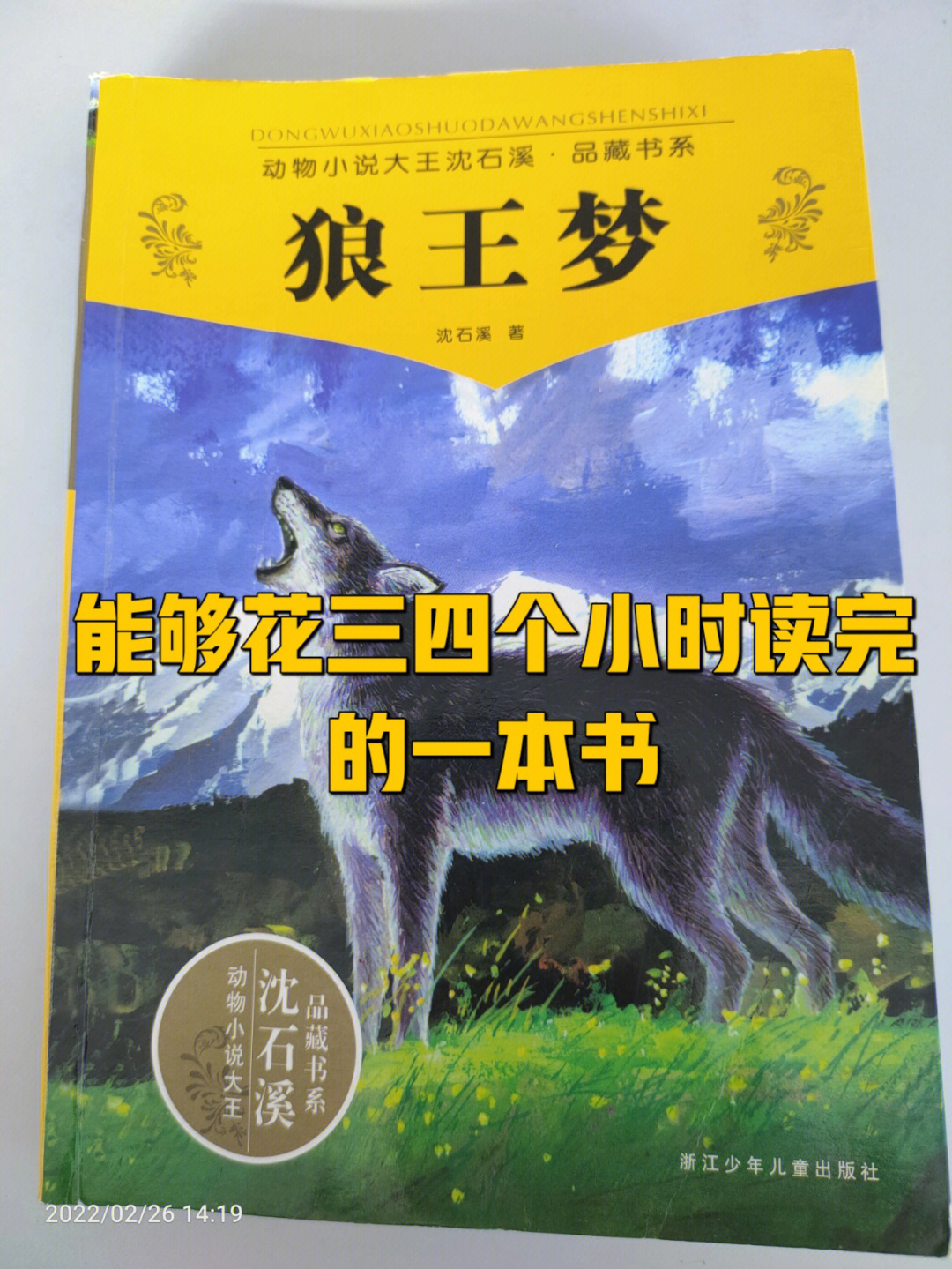 书名:《狼王梦》作者:沈石溪我的读书笔记:三个半小时我读完了这本书