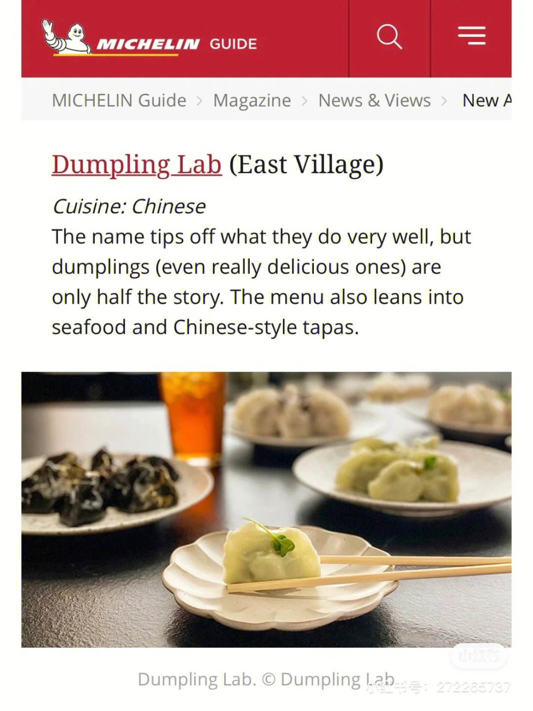 leek dumpling图片