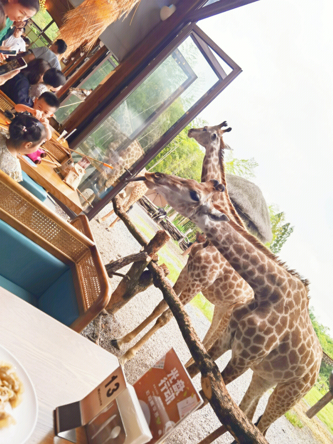 长颈鹿庄园自助餐图片