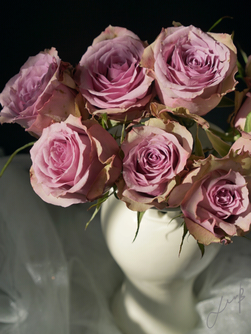 萨曼莎的婚礼玫瑰图片