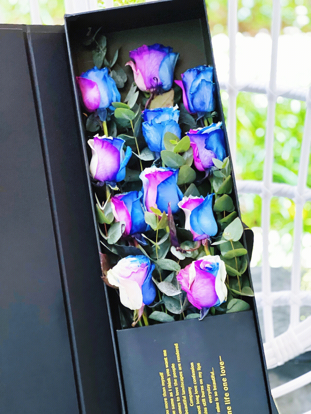 厄瓜多尔炙热玫瑰花语图片