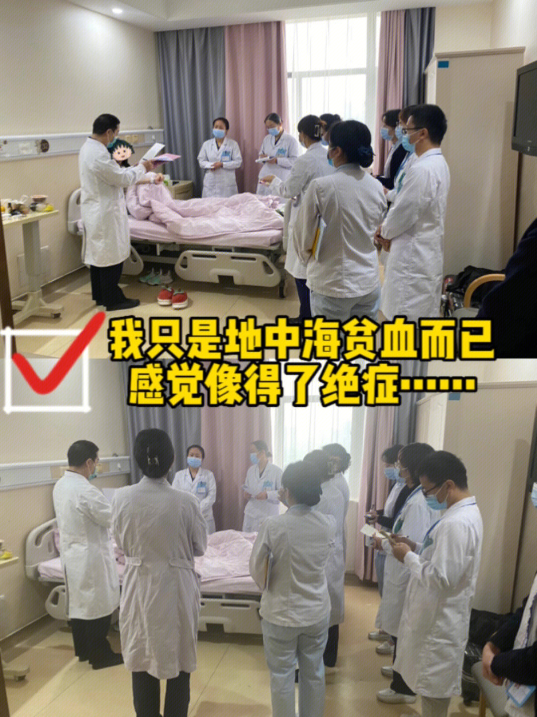 作为北方有地中海贫血的孕妇……我被围观了