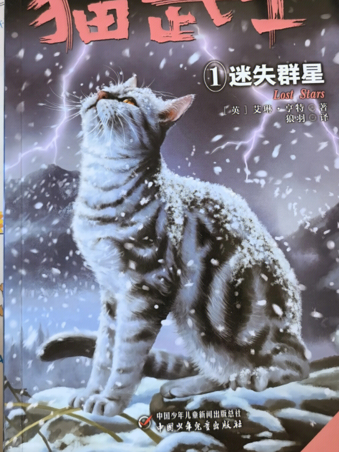 猫武士全部人物图片图片