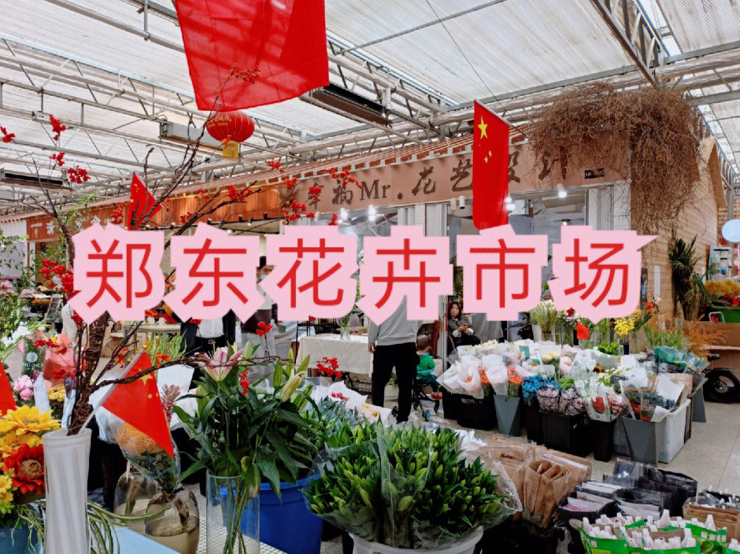 郑州双桥花卉市场图片