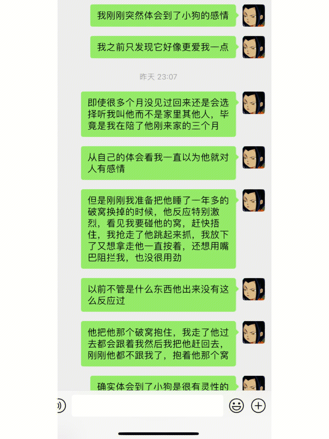 第一次见到我家小狗为了他的破窝如此激动