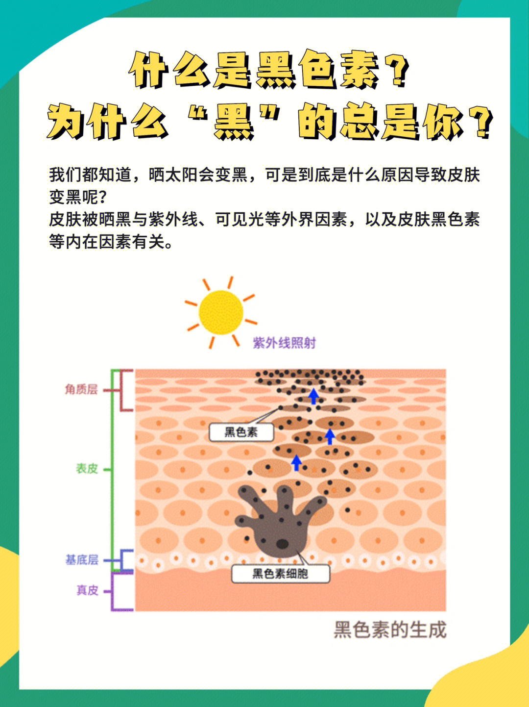 04我们都知道,晒太阳会变黑,可是到底是什么原因导致皮肤变黑呢?