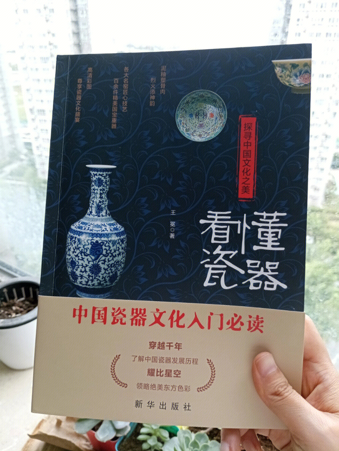 92书名《探寻中国文化之美:看懂瓷器》作者 王冕推荐指数9999