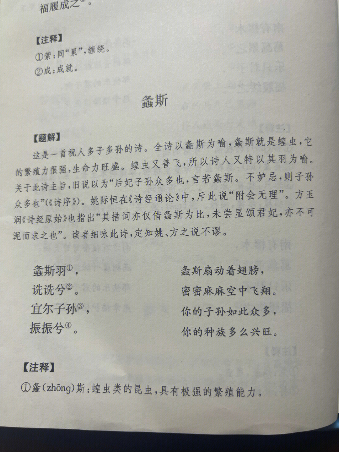 国风周南螽斯图片