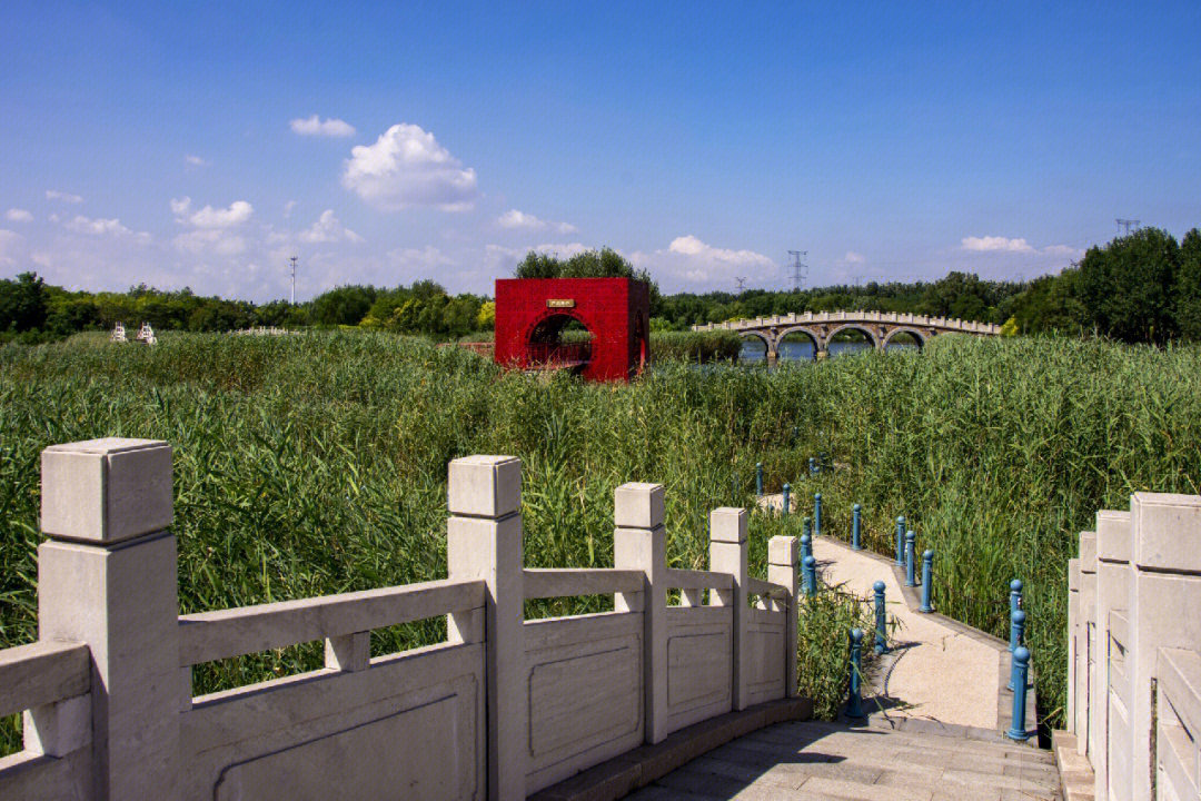 临港湿地公园地址图片