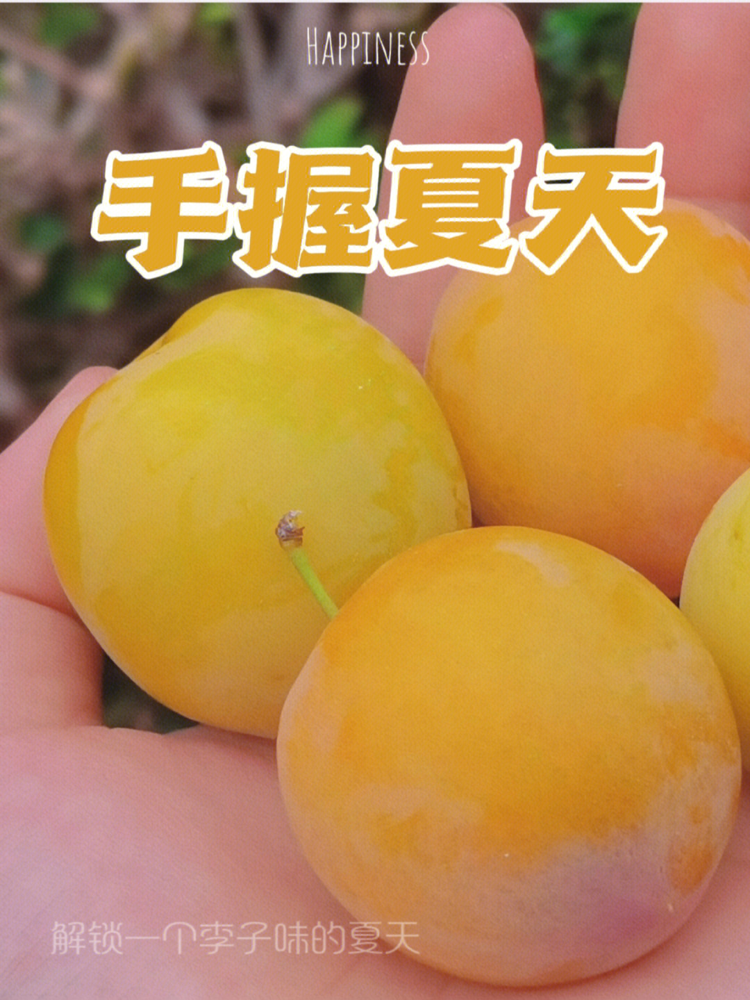 手握李子想歪了图片