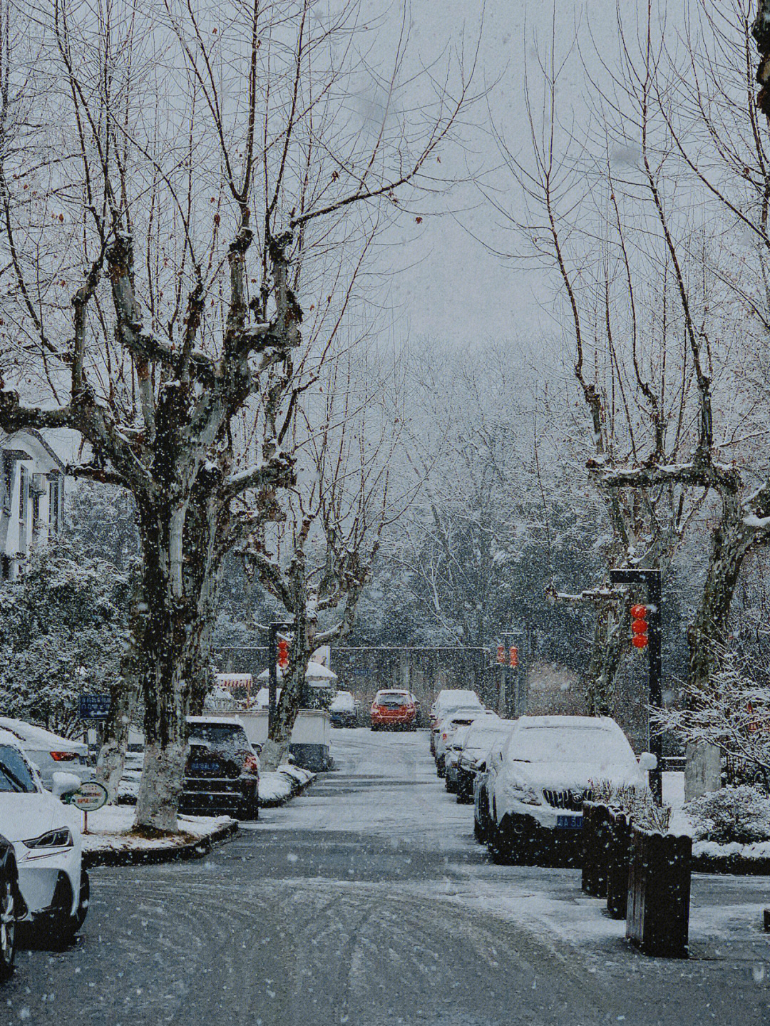 杭州下雪照片真实图片