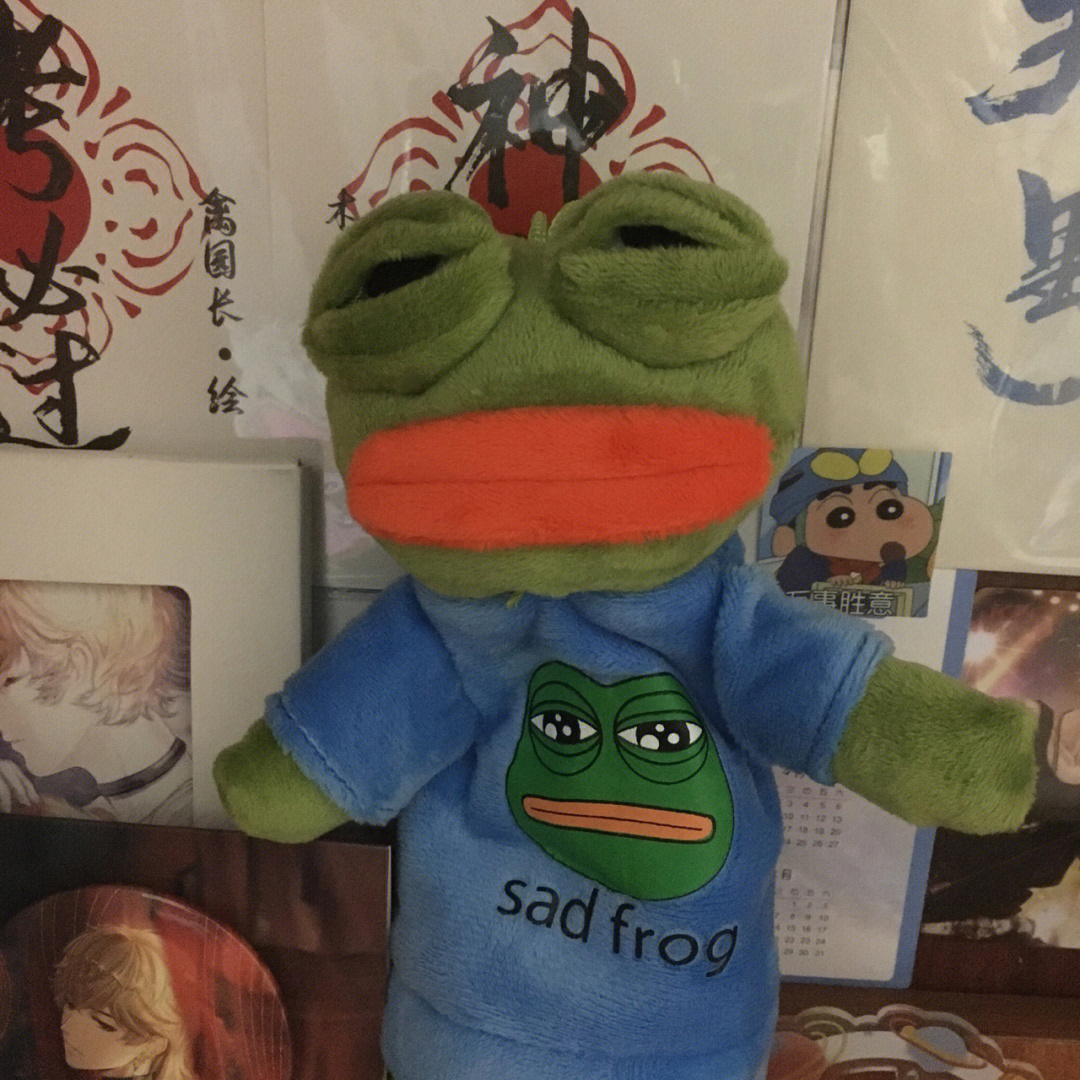 sadfrogmeme图片