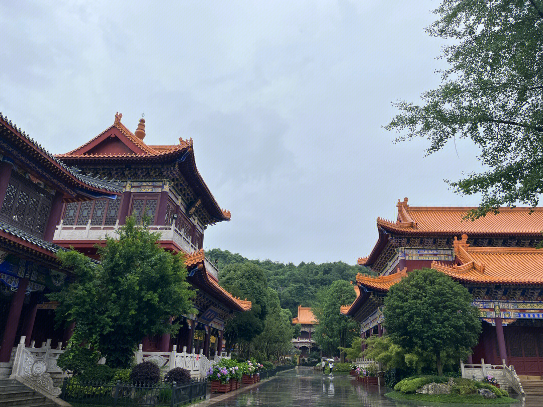 广西普陀寺图片