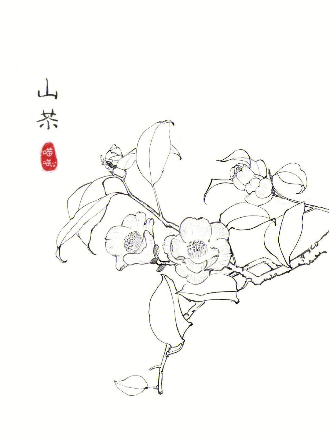 山茶花手绘画法图片