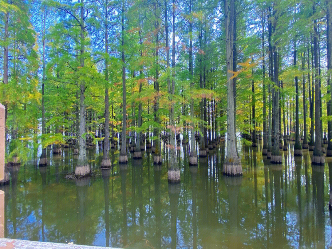 止马岭风景区图片图片