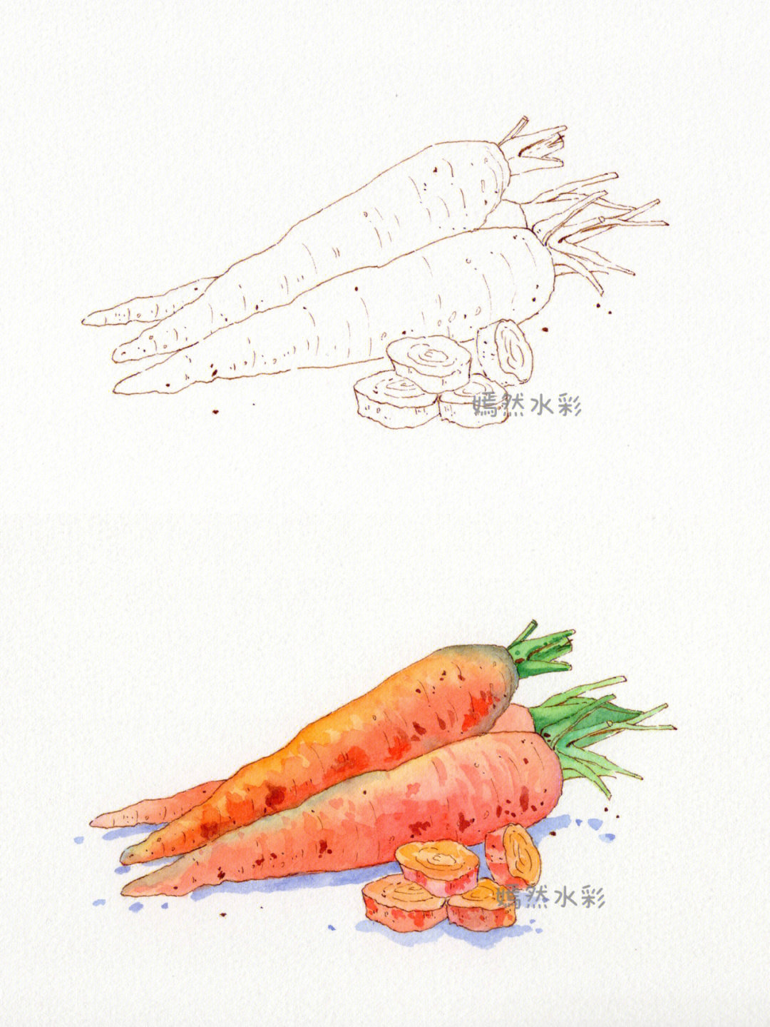 其实画出来色彩还是比较柔和的一根小小的胡萝卜,各种色彩融合,还是挺