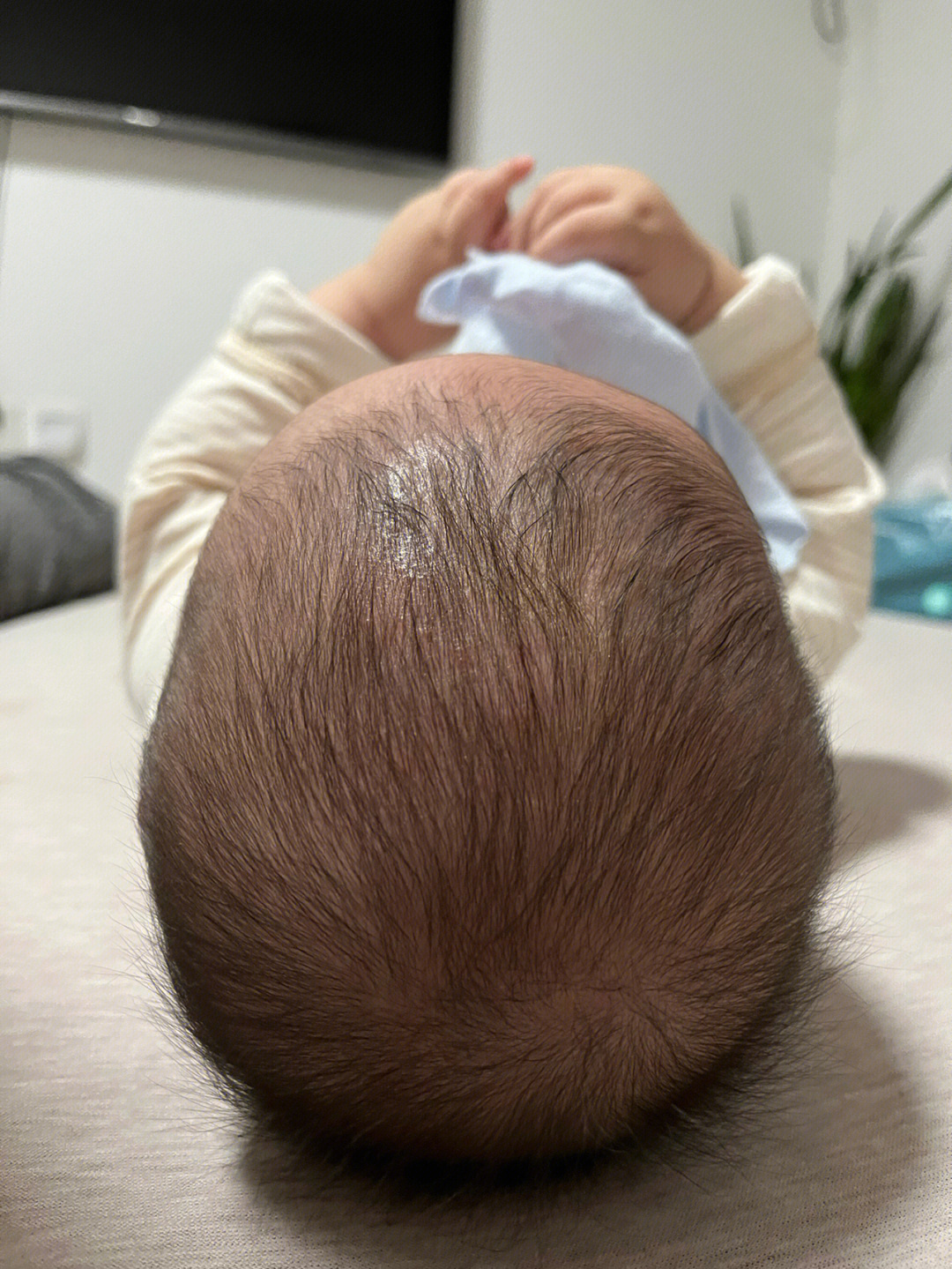 五个月宝宝头歪图片图片