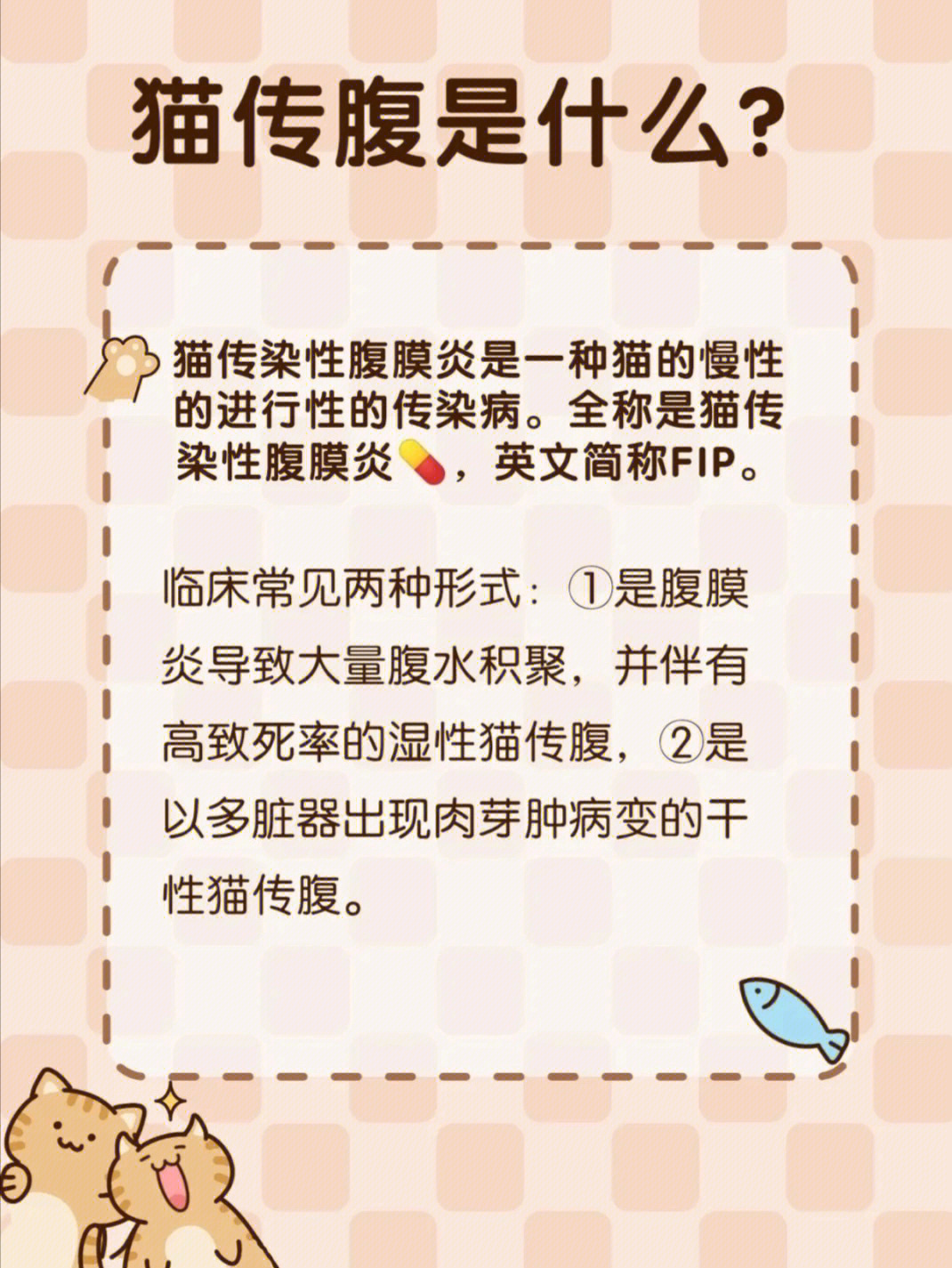 什么是猫传腹?猫传腹是怎么引起的?