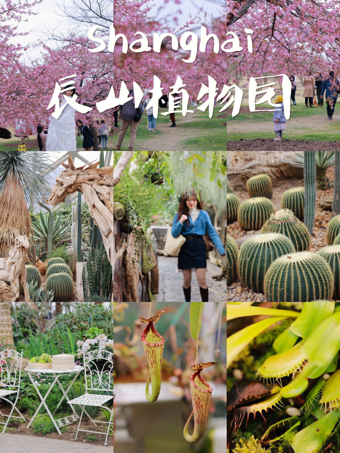 上海公园计划①辰山植物园有的不仅仅是樱花