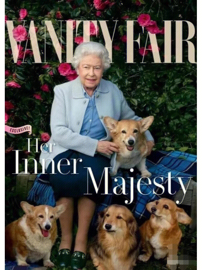 英国女王的狗的卧室图片