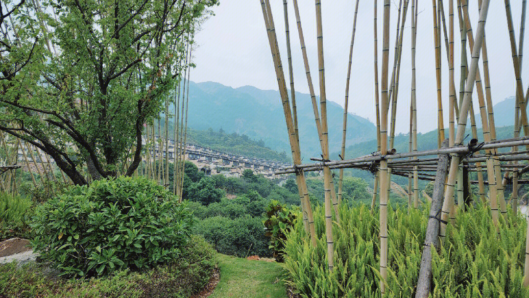 武夷山建发山外山图片