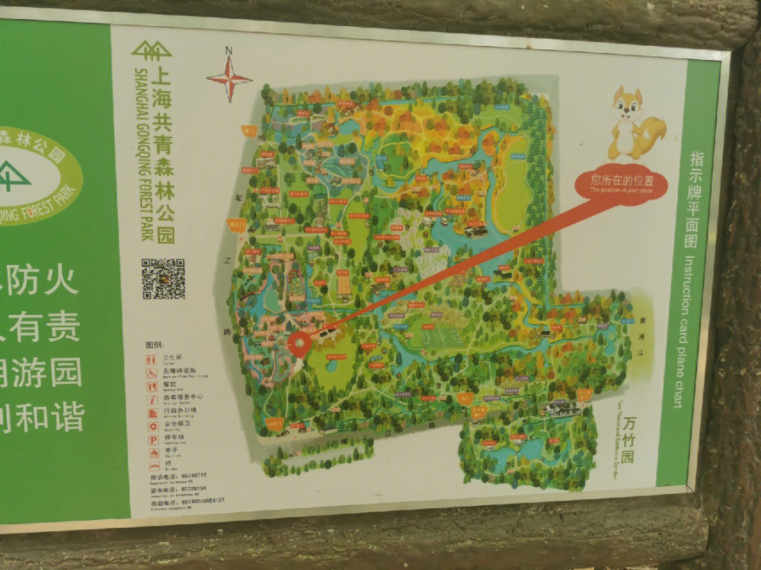 上海共青森林公园介绍图片
