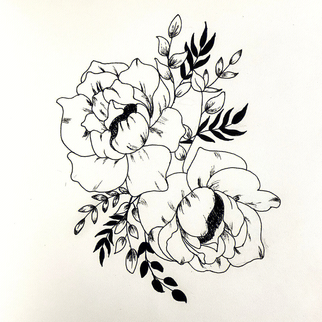 黑白插画装饰画手绘day28