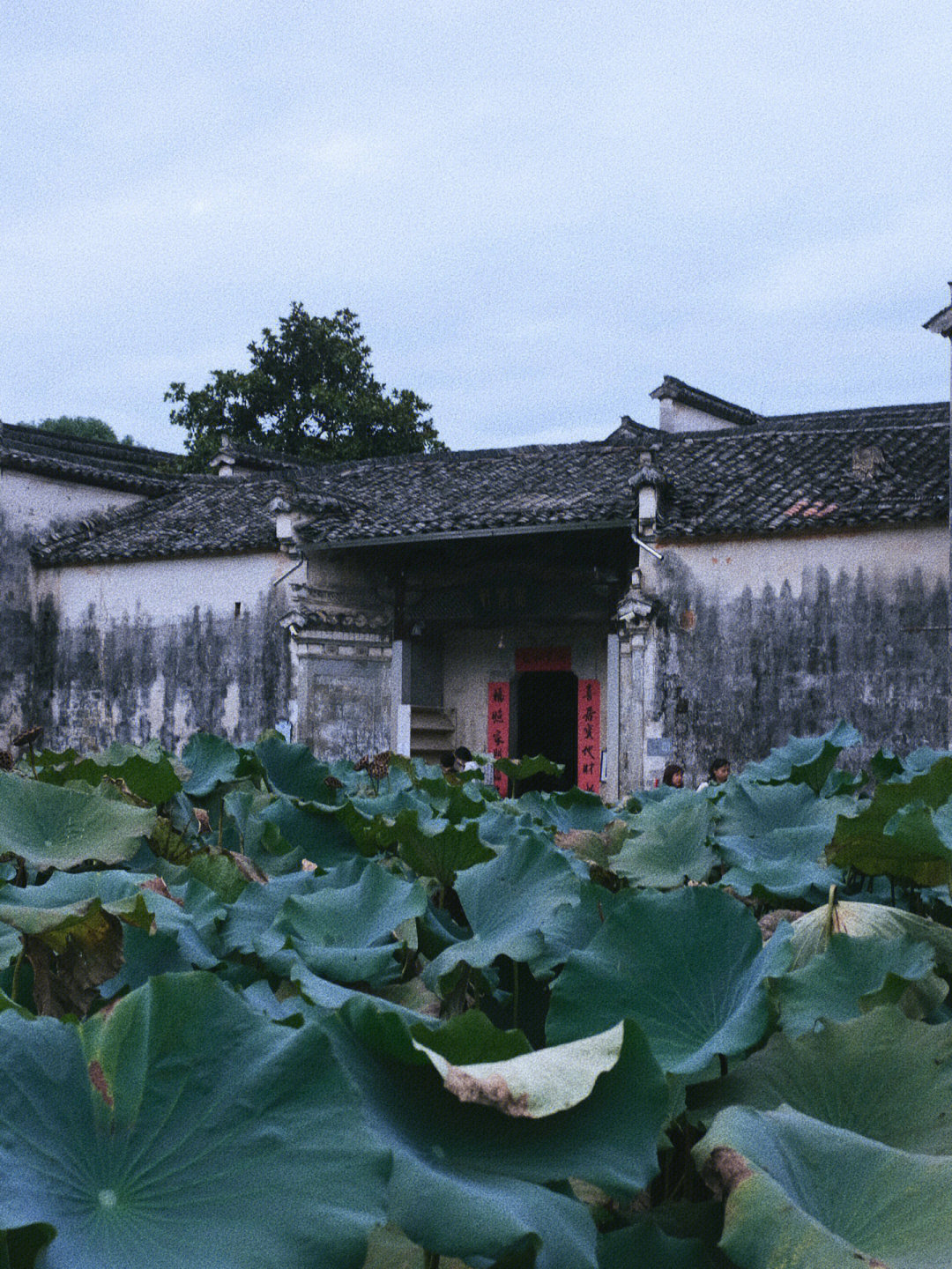 黄山水墨宏村感悟图片