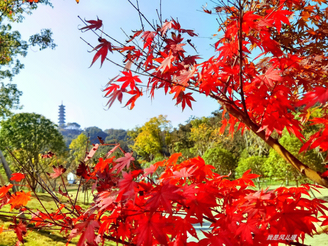 老余杭塔山公园简介图片