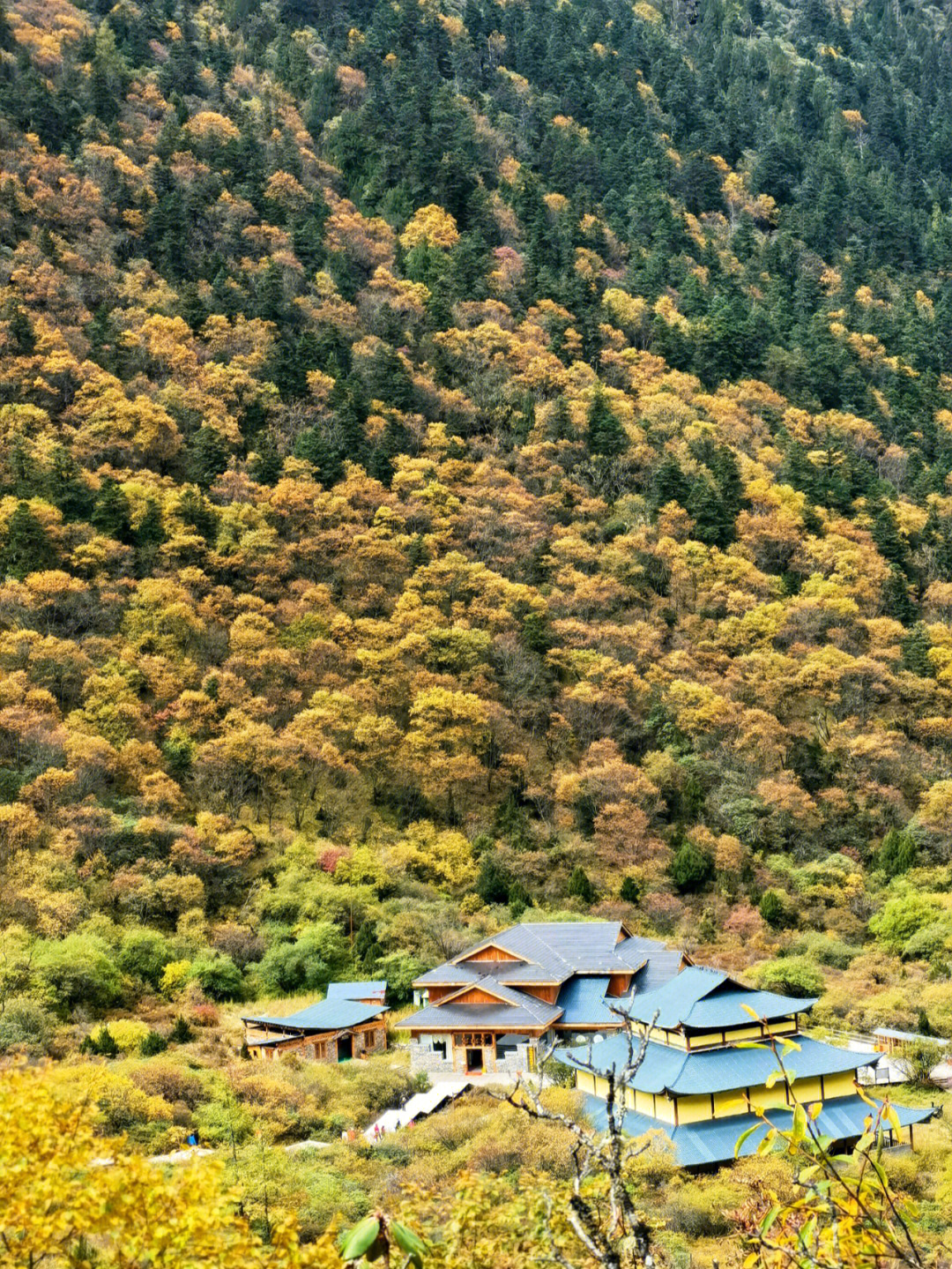 因为黄龙海拔较寒,所以选择了坐索道到顶,然后一路下山