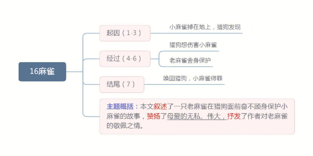 麻雀的思维导图怎么画图片