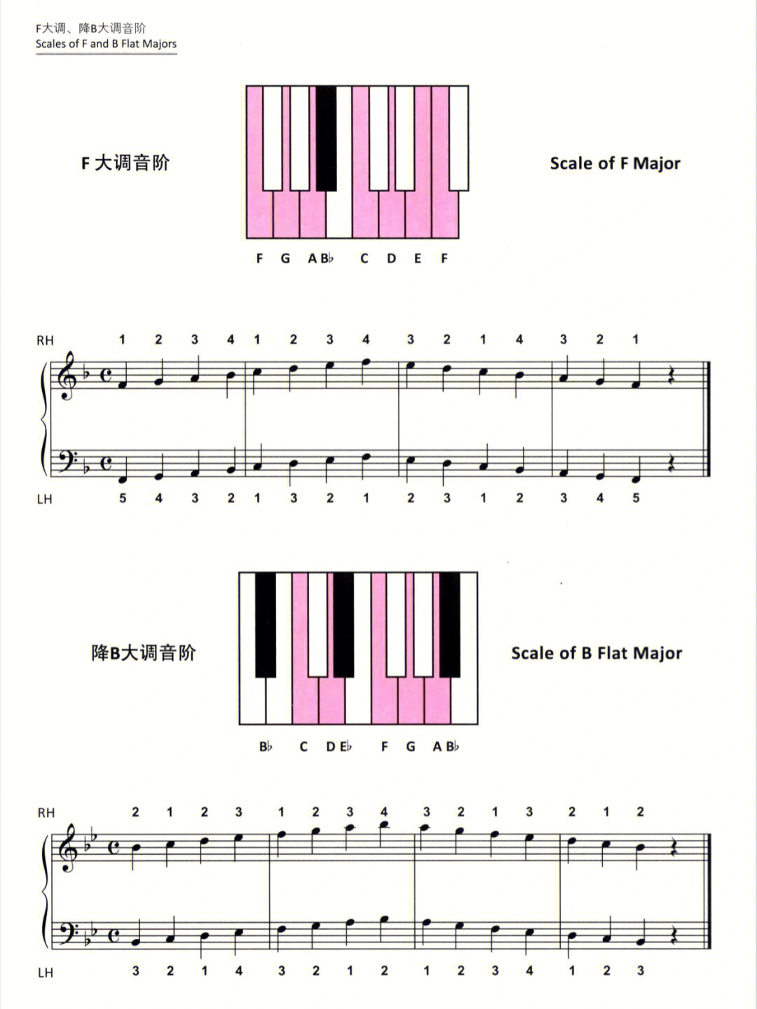 钢琴be调指法图示图片