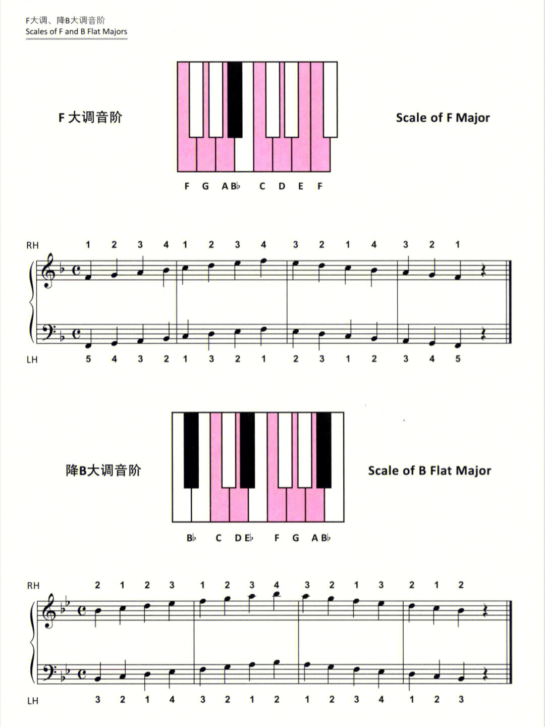 钢琴降b大调音阶图片