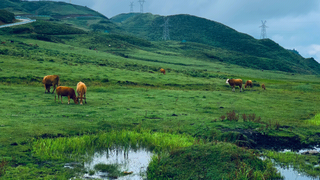 乌蒙大草原全景图图片