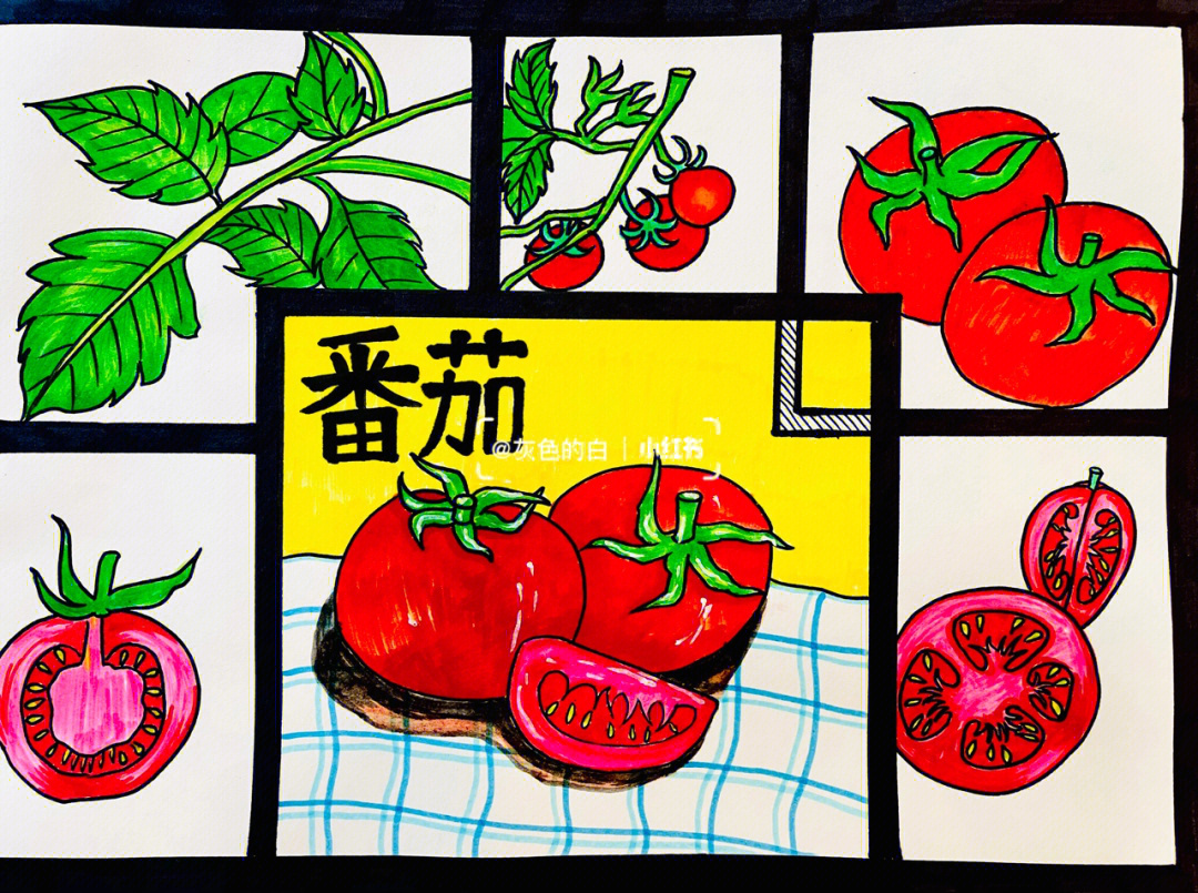 西红柿的画法儿童图片