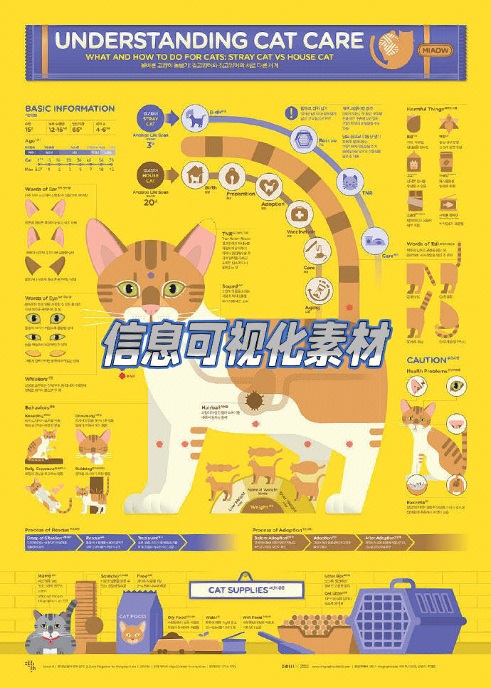 信息可视化设计分组型图片