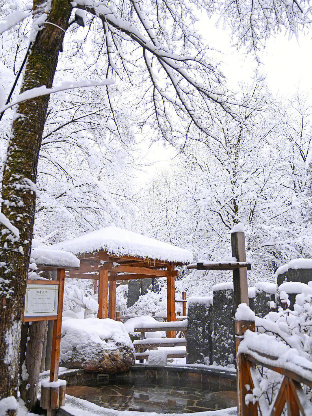 雪乡温泉图片