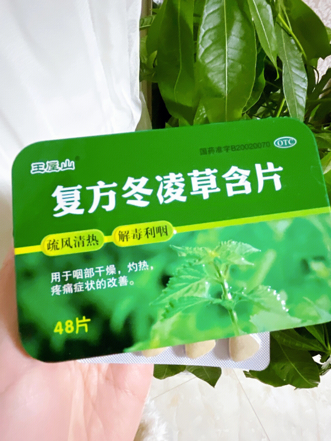 复方冬凌草含片成份图片