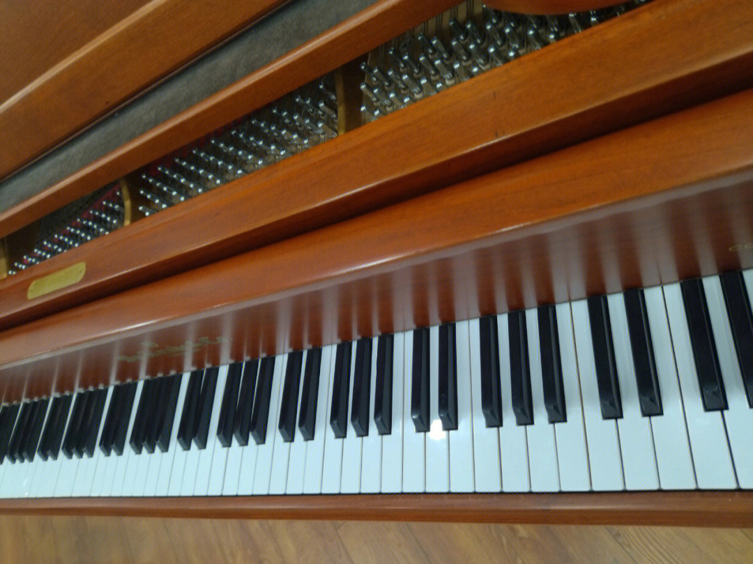 它与钢琴的内部原理大致相同,都是在琴体内部装有音板和许多拉紧并列